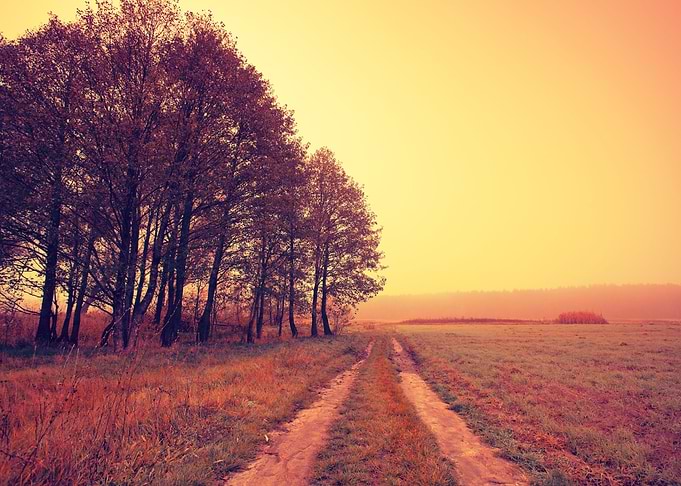 Foggy Autumn Landscape At