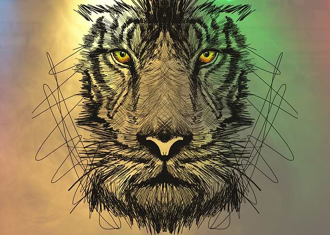 Tiger soul