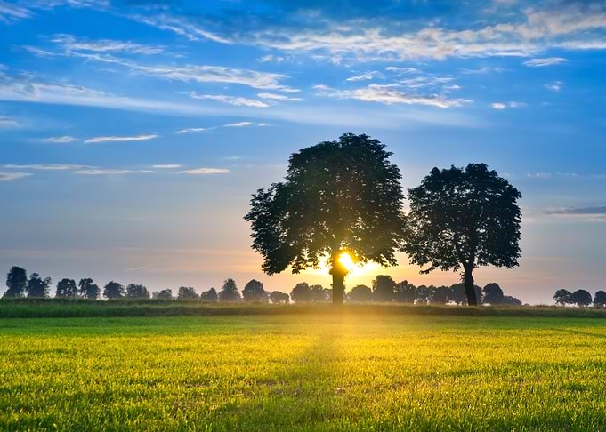 Sunset Over Rural Field