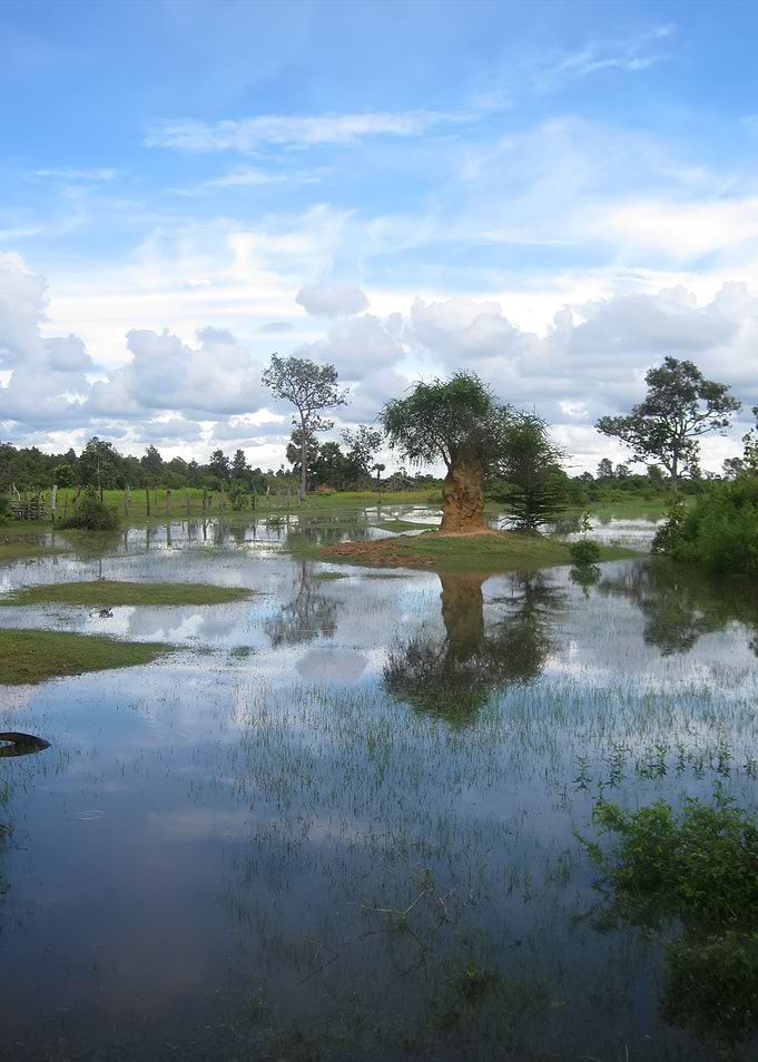Views Of Nature In Cambodi