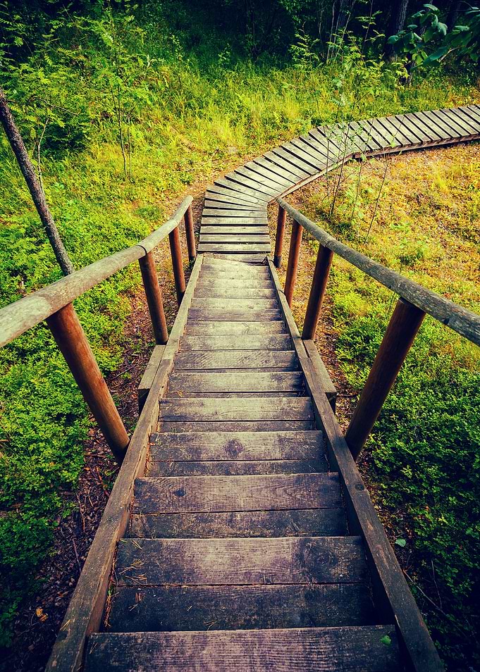 Wooden Pathway In The Fore