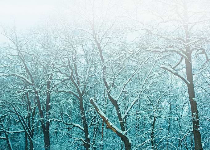 Blue Vintage Faded Foggy S