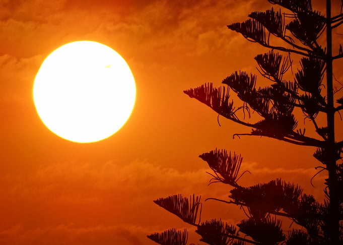 beautiful sunlight