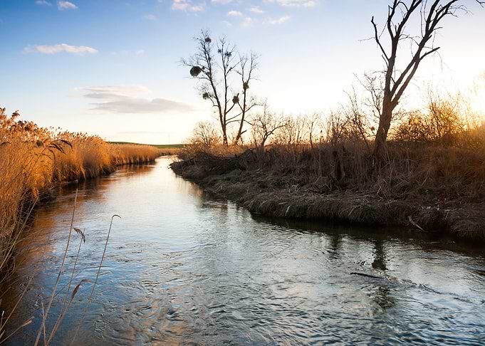 River Landscape