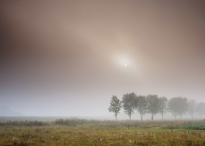Foggy Morning Field