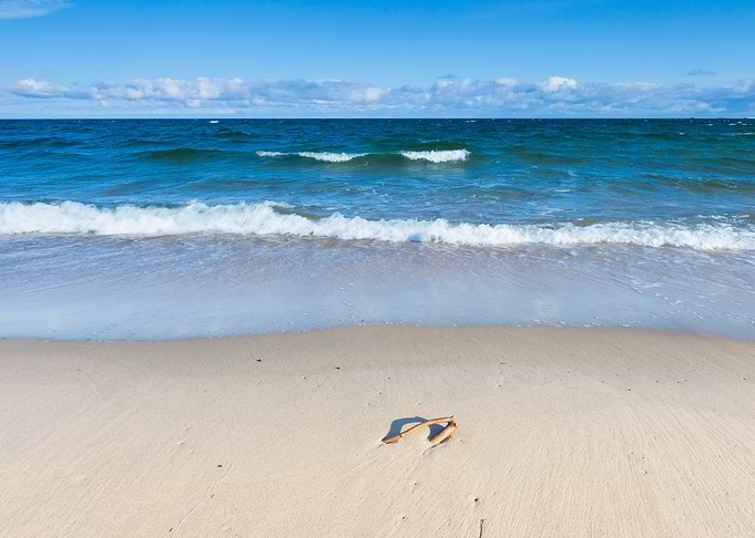 Beach Landscape Baltic Coa