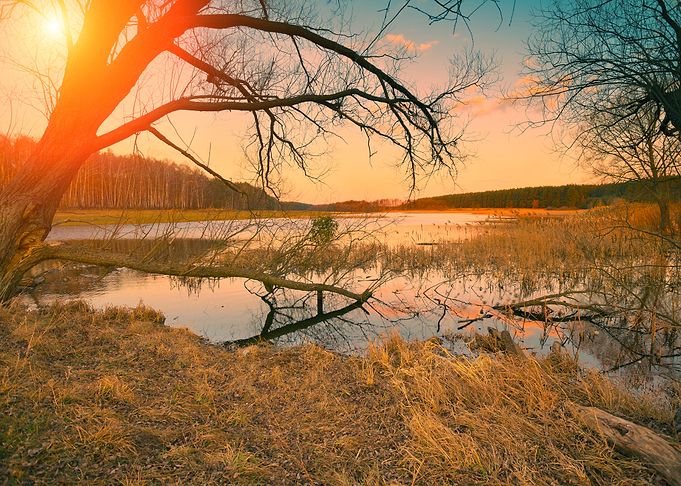 Misty Autumn Landscape At