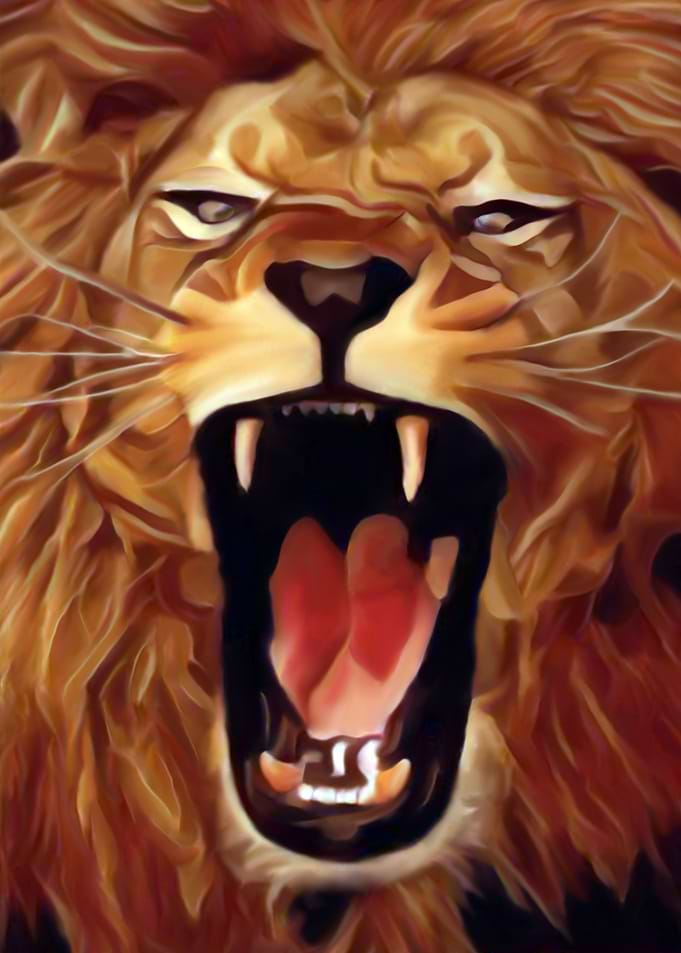 Lion 3