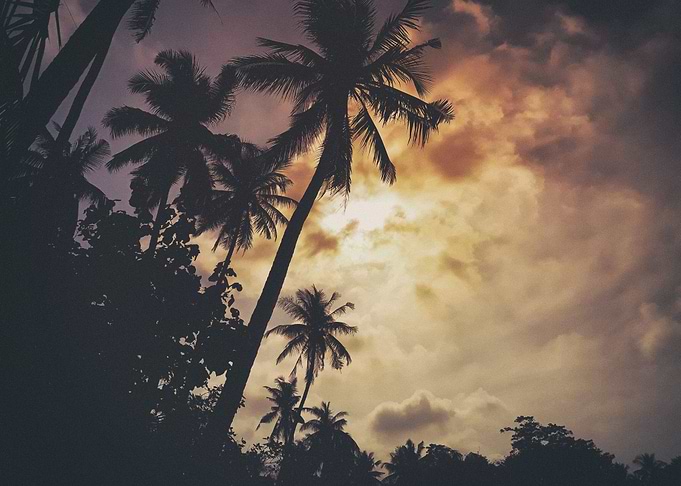 Island sunset
