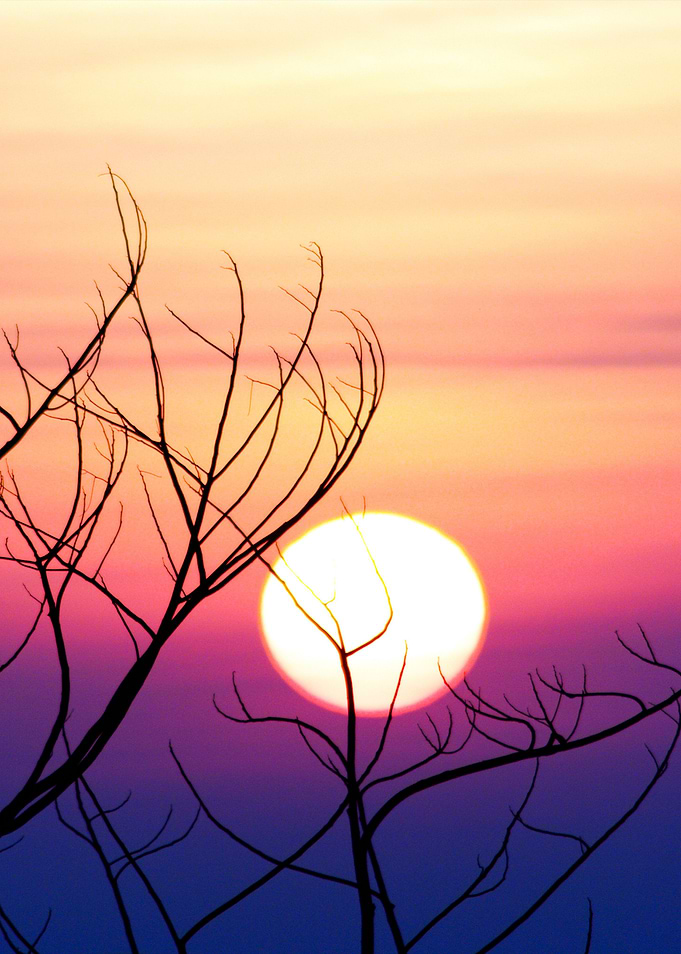Sunrise Scene