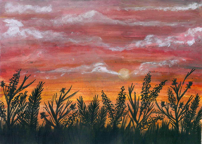 wildflowers and sunset