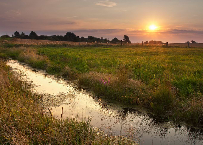 Wild River Landscape