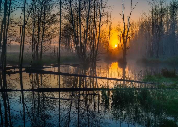 Beautiful Sunrise Over Fog