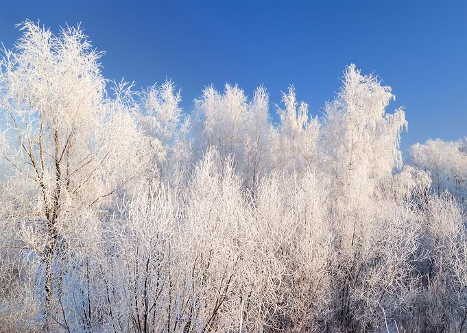 Winter Landscape With Snoe