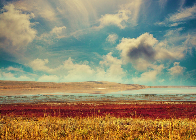 Landscape With Beautiful C