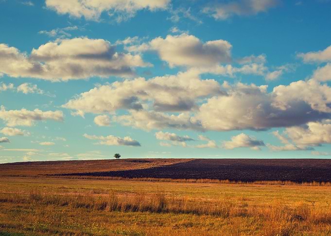 Beautiful Field With Blue