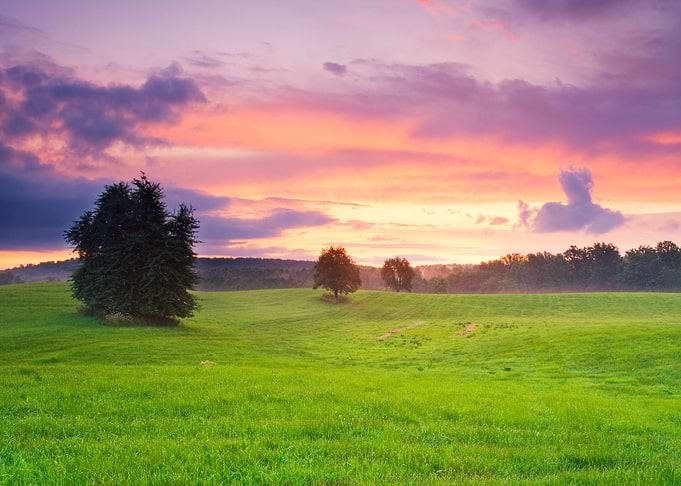 Sunset Landscape
