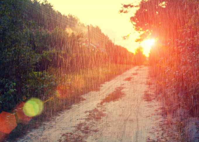 Rural Landscape In Summer