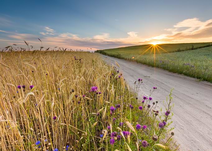 Beautiful Landscape Of Sun