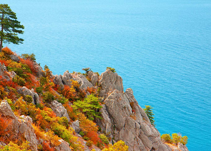 View Of The Sea Coast From