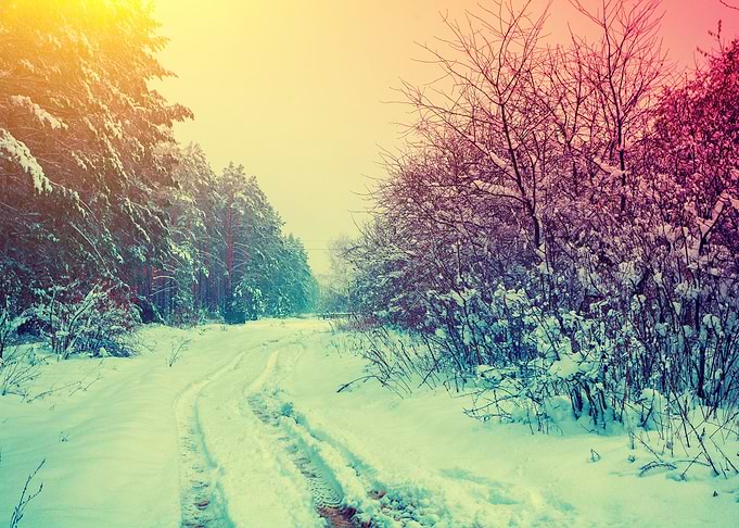 Rural Snowy Landscape