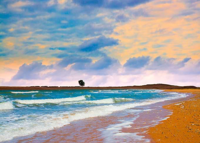 Beautiful Desert Beach At