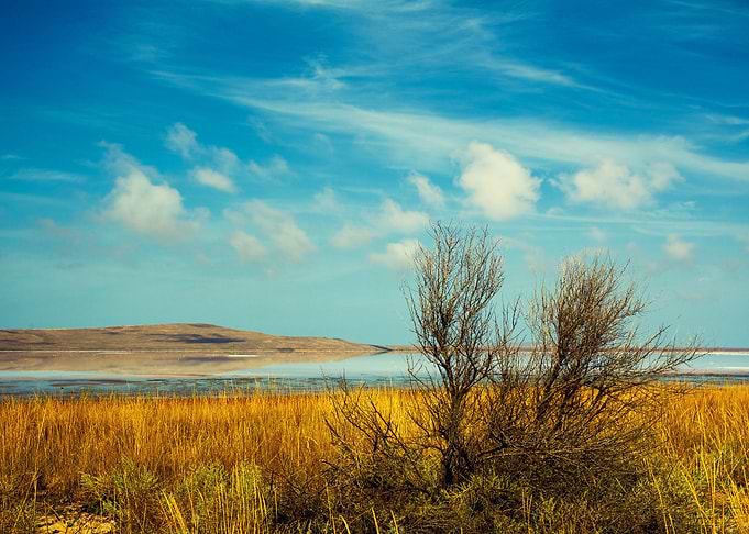 Beautiful Desert Landscape