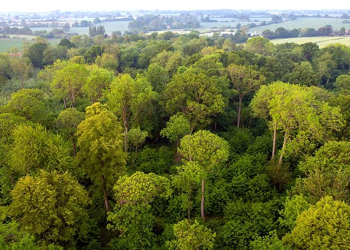 Aerial Landscape
