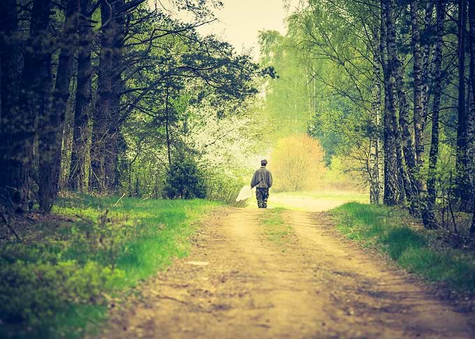 Man Walking By Forest Path