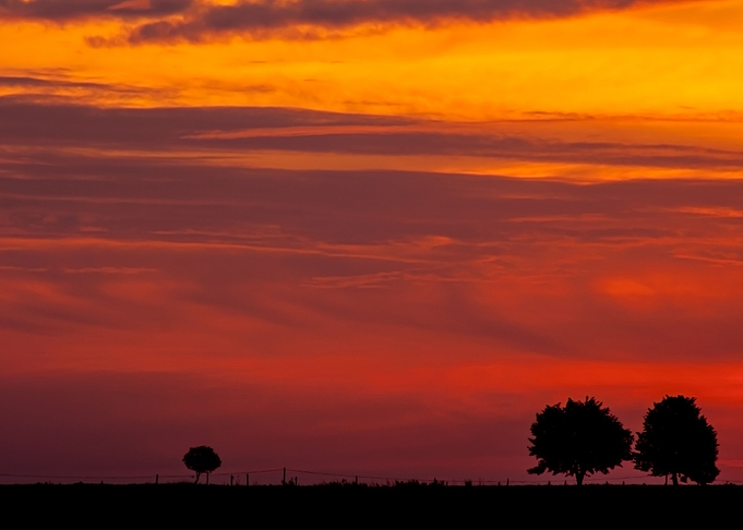 Sunset Over Rural Field