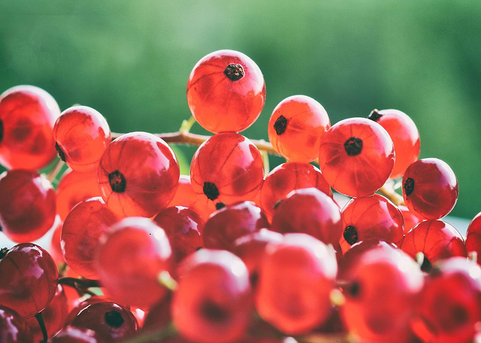 Cranberries