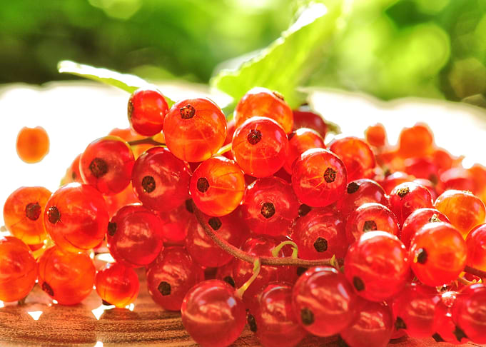 Cranberries
