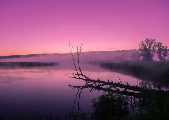 A Misty Morning Over The R