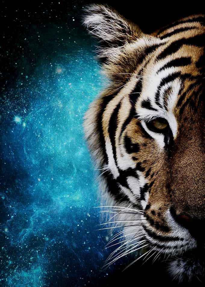 Tiger Galaxy 2
