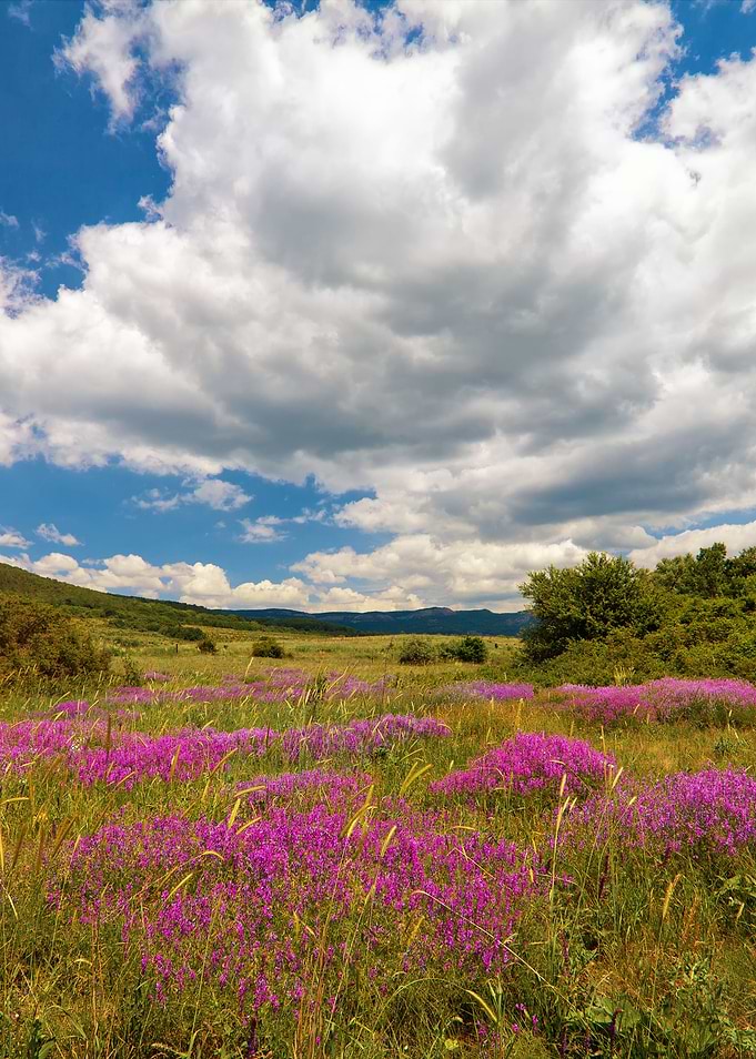 Beautiful Landscape Under