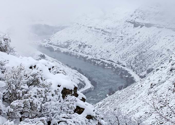 Snowfall Landscape