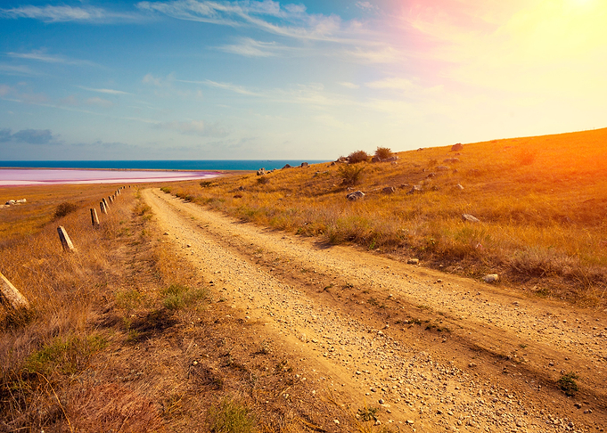 The Dirt Road To Pink Lake