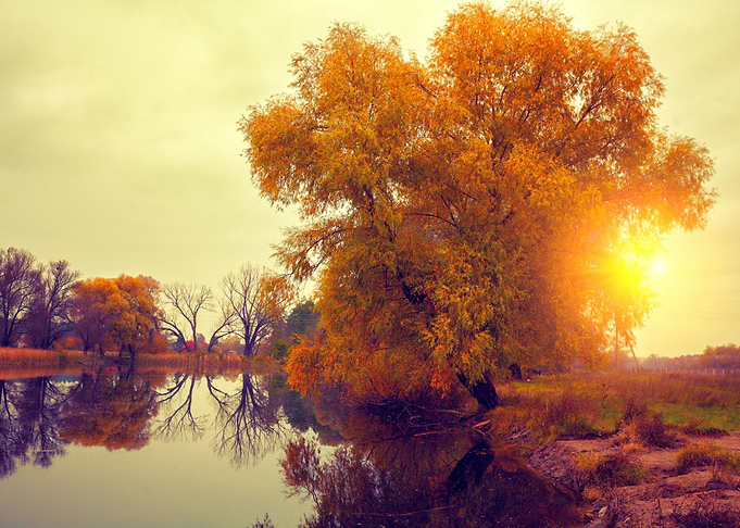 Autumn Rural Landscape Wit