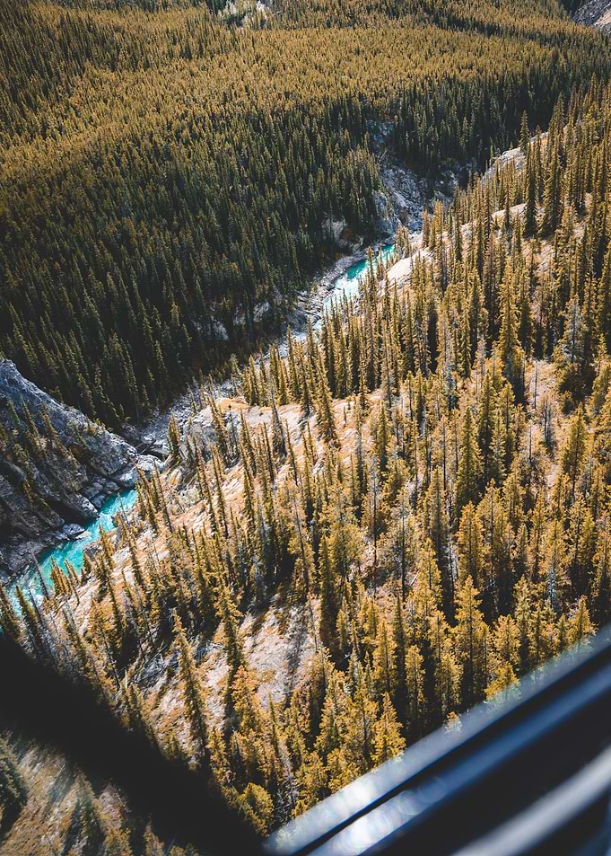 Creek in canadian forrest