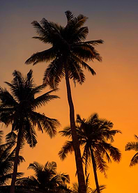 Island sunset