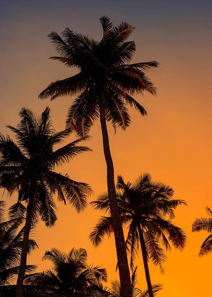 Island sunset