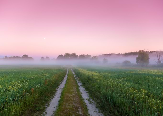 Dirt Road In The Field Wit