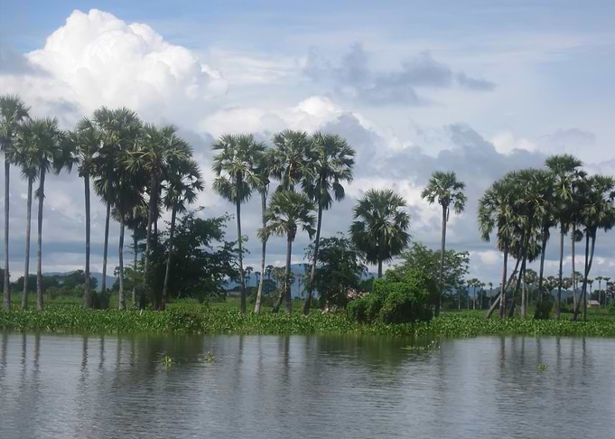 Views Of Nature In Cambodi