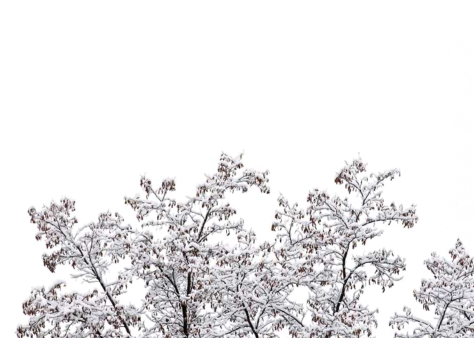 Stunning Backgrounds
