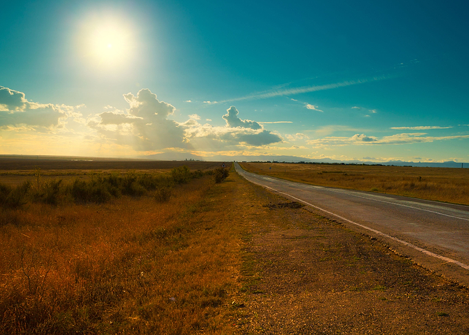 Asphalt Road Through The F
