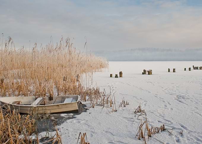 Winter Lake