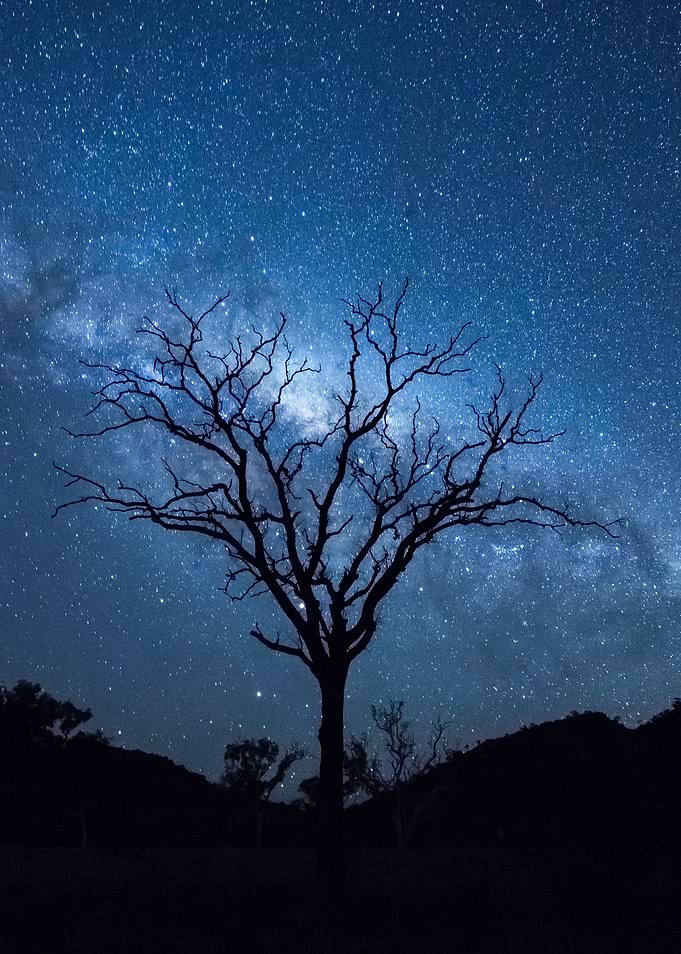 Night Sky