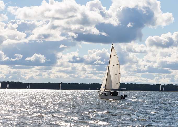 Sailboats On Lake