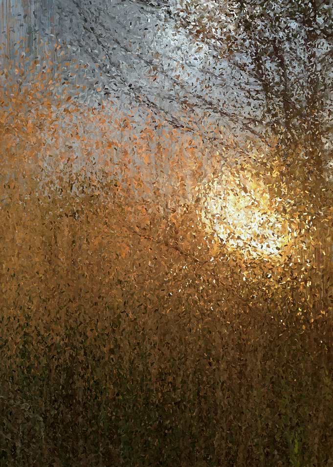 Fall Morning