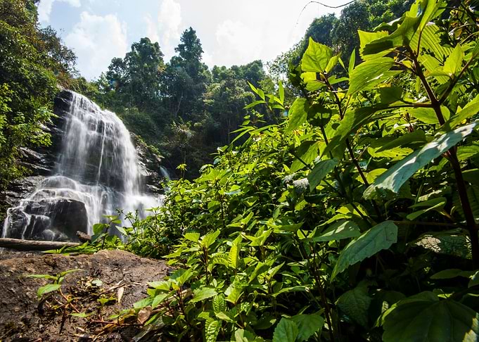 Water Fall In Spring Seaso